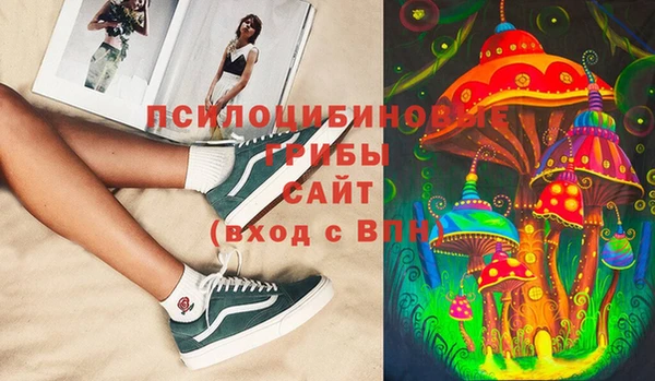 дурь Аркадак